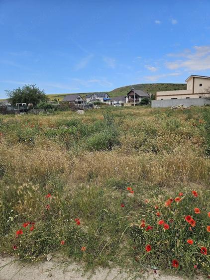 Teren de 1500 mp, în Valu lui Traian