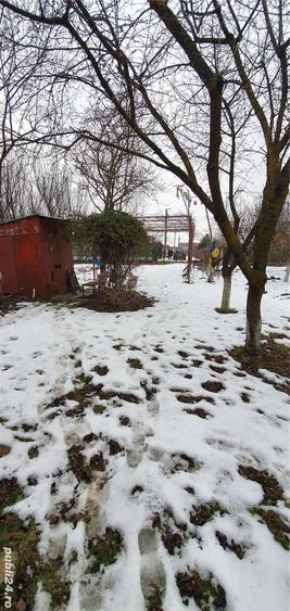 Teren de 2500 mp, în Careiului