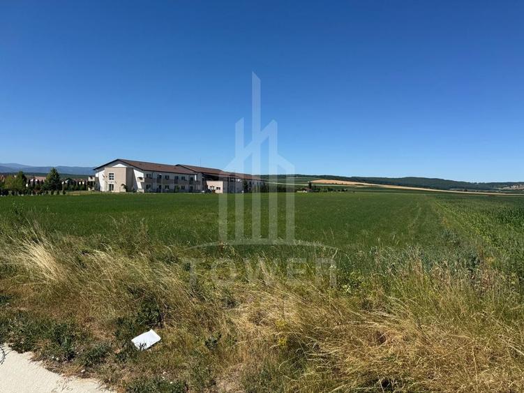 Teren agricol intravilan de 10000 mp, în Șura Mică