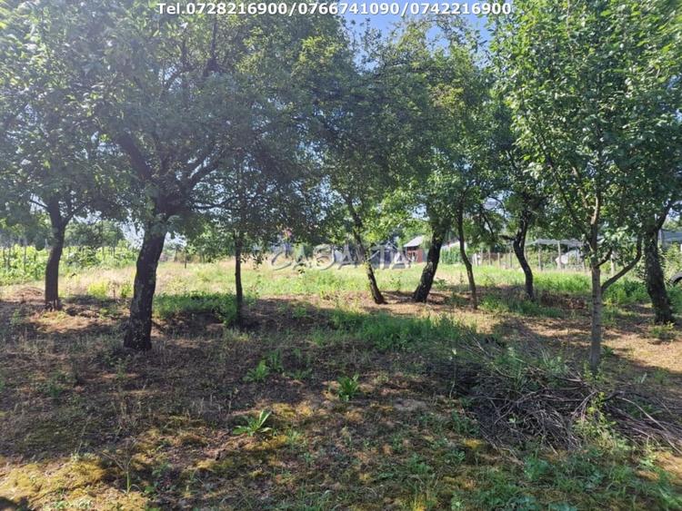 Casă individuală cu 3 camere cu Teren 4721 Mp în Dănești