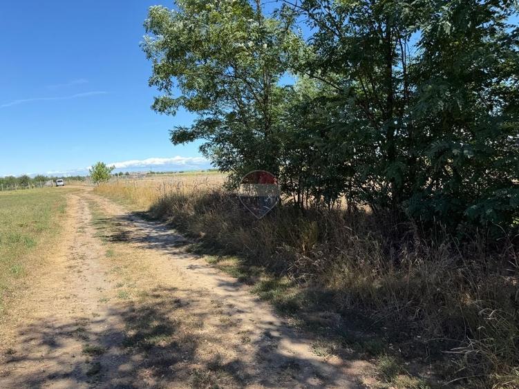 Teren Construcții extravilan de 930 mp, în Lucian Blaga