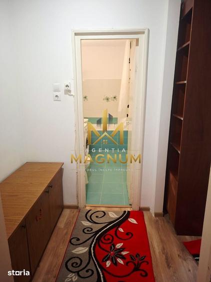 Apartament cu 2 camere semidecomandat în Săsar