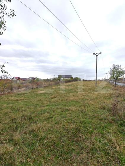 Teren Construcții intravilan de 5000 mp, în Băbana