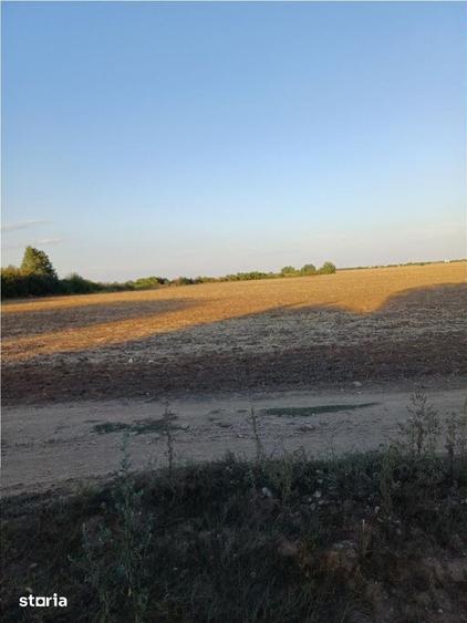 Otopeni-Str.Dr.Garii Balotesti-2.900mp-front 50ml-Ideal Investitie - 3