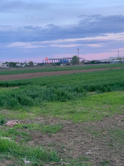 Teren Construcții intravilan de 1562 mp, în Afumați