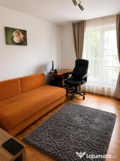 Apartament 2 camere, etaj 2/2, mobilat, utilat, Avram Iancu! - 6