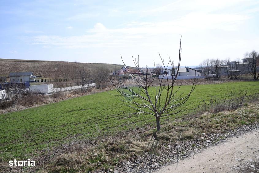 Teren de 3500 mp, în Moara