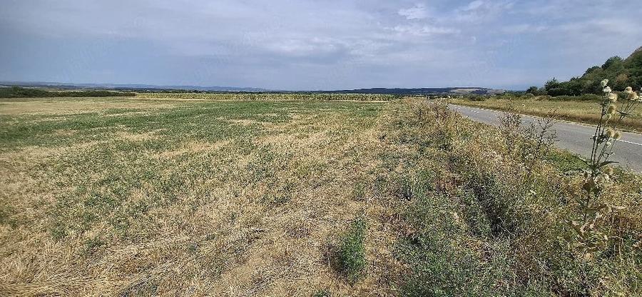 Teren de 1200 mp, în Central