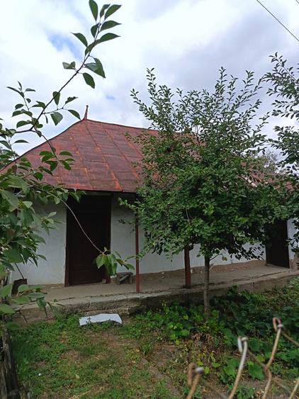 Casă cu 4 camere în Radu Negru