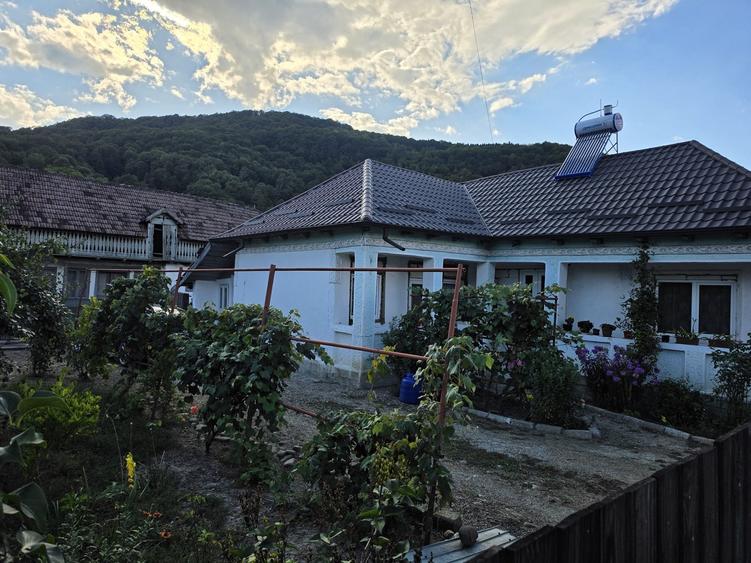 Casă cu 3 camere în Central