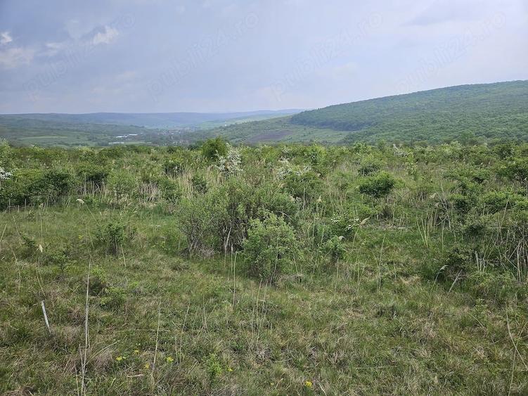 Teren de 2900 mp, în Corușu