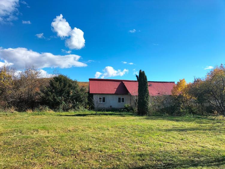 Teren Construcții intravilan de 4500 mp, în Stâlpeni