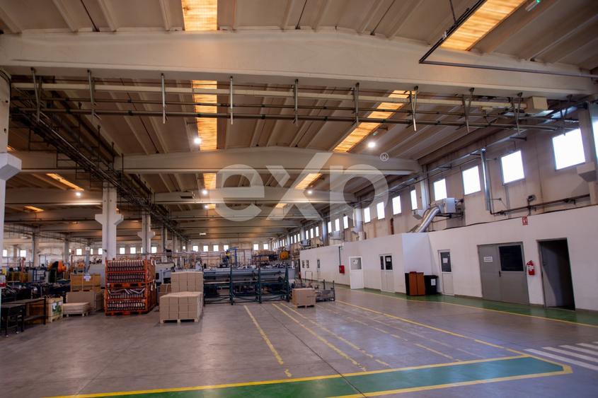 Spațiu industrial, de 5,100 mp, în Mioveni