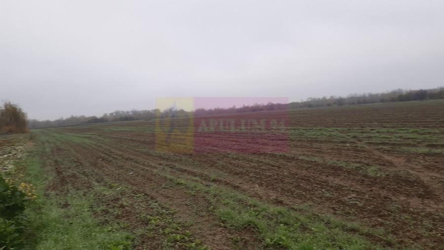 Teren Construcții intravilan de 2250 mp, în 1 Decembrie