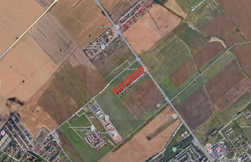 Teren Construcții intravilan de 12500 mp, în Albert