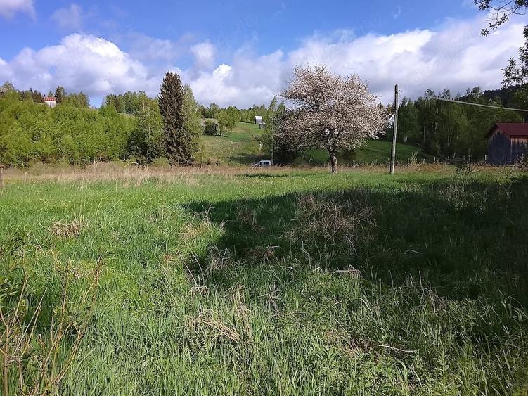 Teren de 5000 mp, în Dorna-Arini