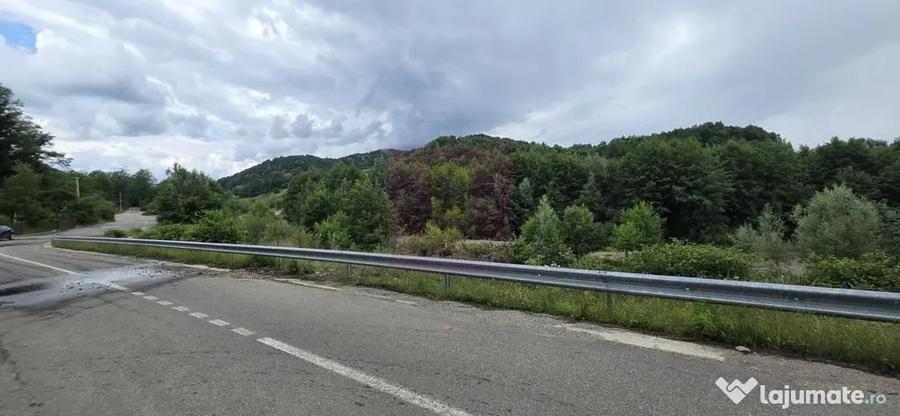 Casă cu 5 camere cu Teren 2200 Mp în Provița de Sus