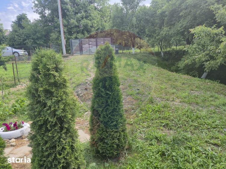 Casă cu 3 camere cu Teren 1268 Mp în Săpânța