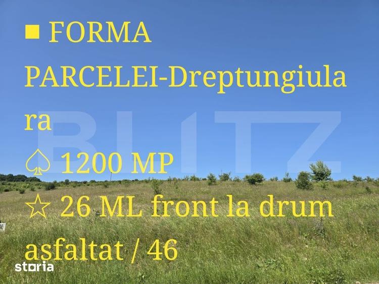 Teren de 1200 mp, în Ciurila