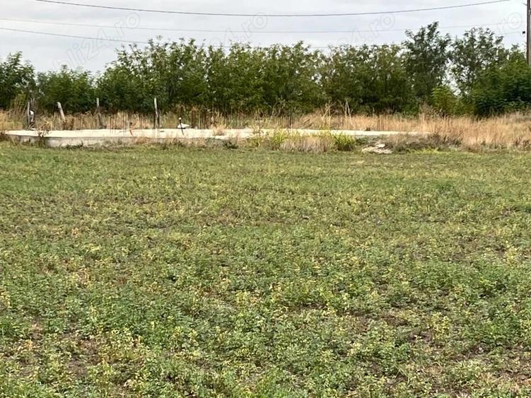 Teren de 3000 mp, în Checea