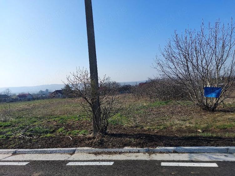 Teren de 3300 mp, în Țigănași