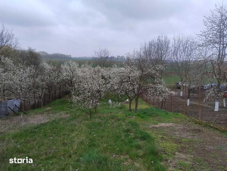 Casă cu 2 camere cu Teren 104 Mp în Zădăreni