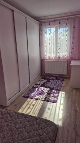 Apartament cu 2 camere semidecomandat în Tineretului
