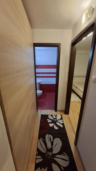 Apartament cu 2 camere semidecomandat în Bistra