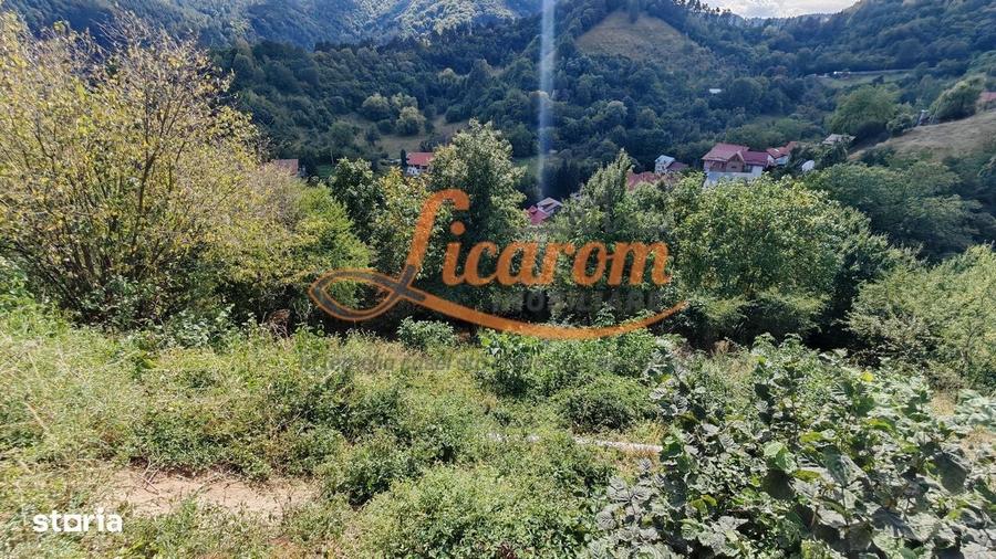 Spațiu comercial, în Drumul Poienii