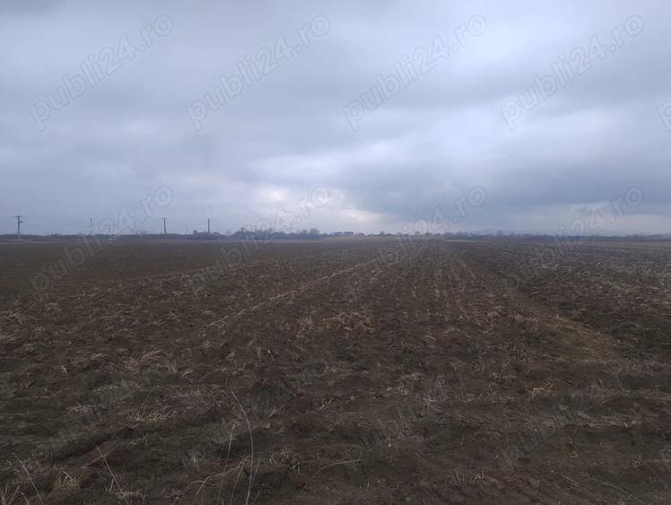 Teren de 5900 mp, în Central