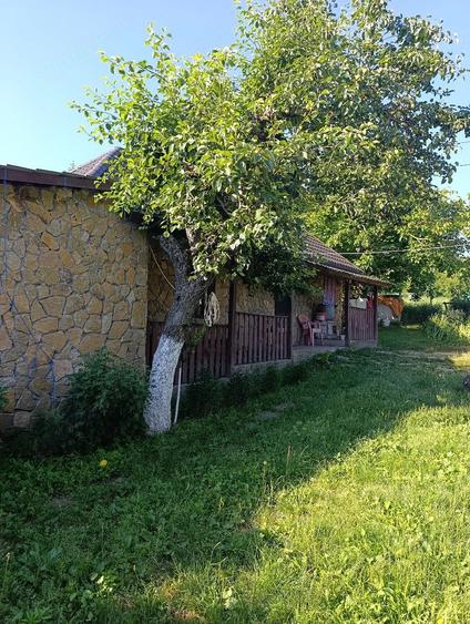 Vand casa Ciucurova, Tulcea - 2