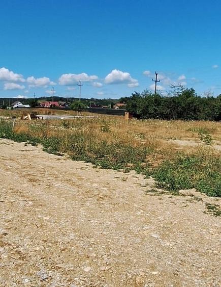 Teren Construcții intravilan de 500 mp, în Moșoaia