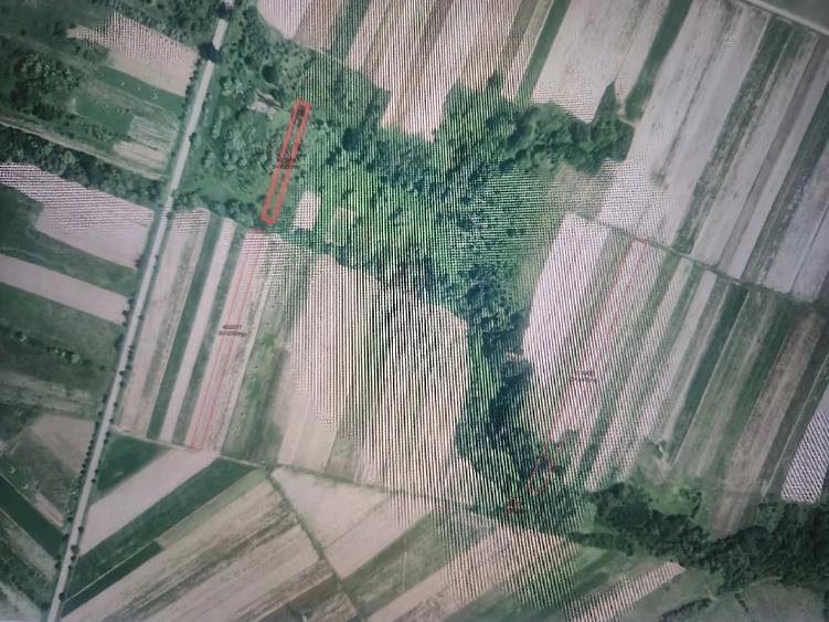 Teren de 6100 mp, în Curtea