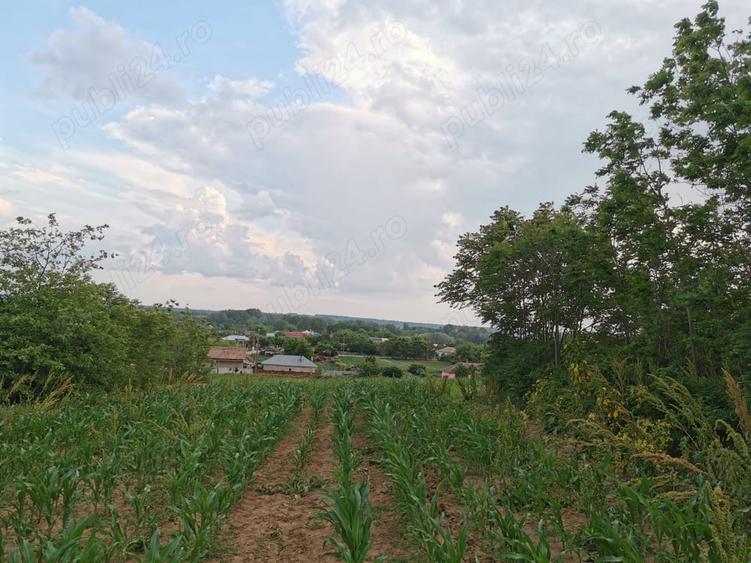 Teren de 2800 mp, în Șopârlița