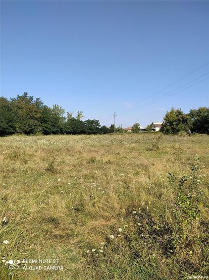 Teren de 12872 mp, în Frâncești