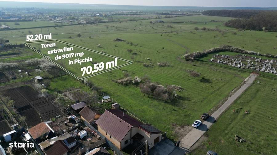Spațiu comercial, în Pișchia