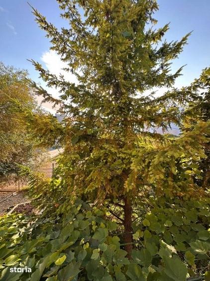 Casă cu 5 camere cu Teren 750 Mp în Central