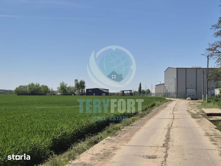 Teren de 3750 mp, în Găneasa