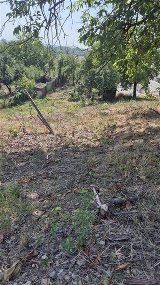 Teren Construcții intravilan de 3600 mp, în Podgoria