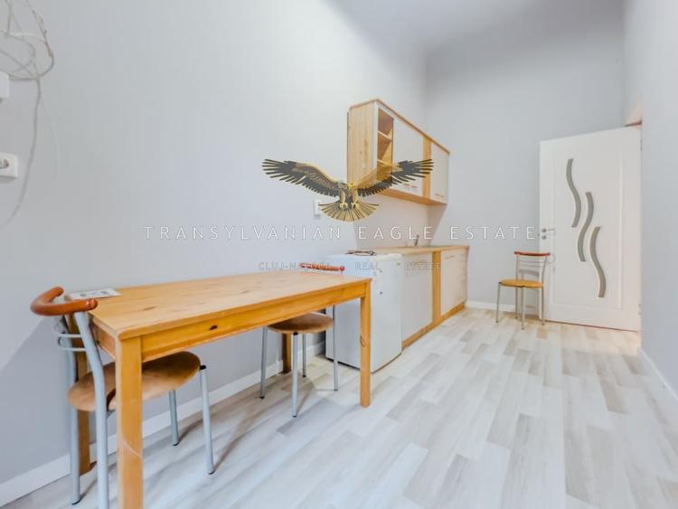 Apartament/Spatiu de birou situat pe strada Horea|ultracentrala - 7