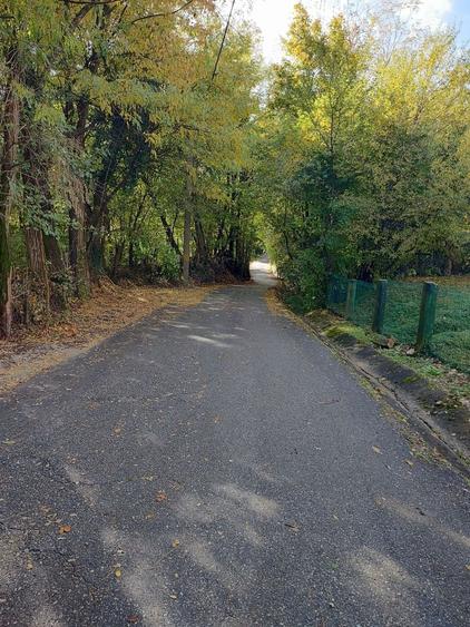 Teren de 10200 mp, în Costești