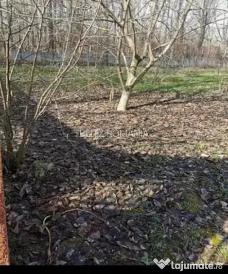 Teren extravilan de vanzare, 540 mp, zona Braniste - Braniste (Podari) (Dolj)