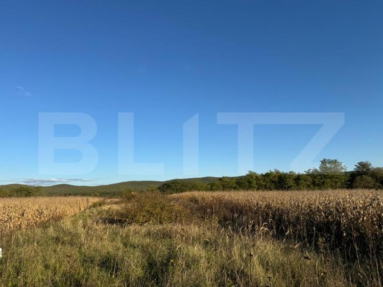 Teren agricol extravilan de 1400 mp, în Brănișca