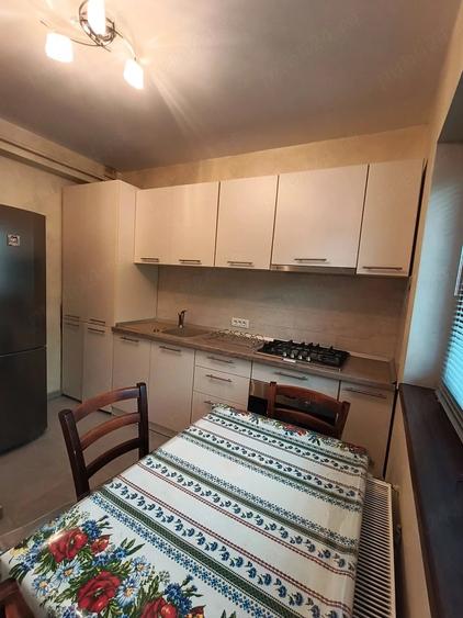 Proprietar ofer apartament 2 camere pentru inchiriere zona Mehala - 8