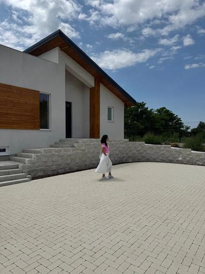 Casă cu Teren 560 Mp în Vlădiceasca