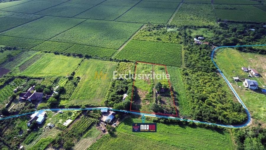Teren de 5555 mp, în Schiau (Urlați)