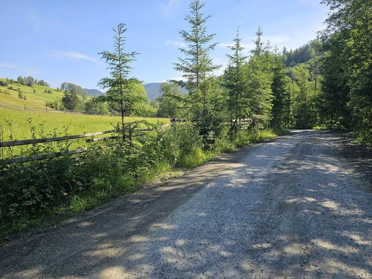 Teren intravilan de vanzare in Bucovina zona Breaza - 4