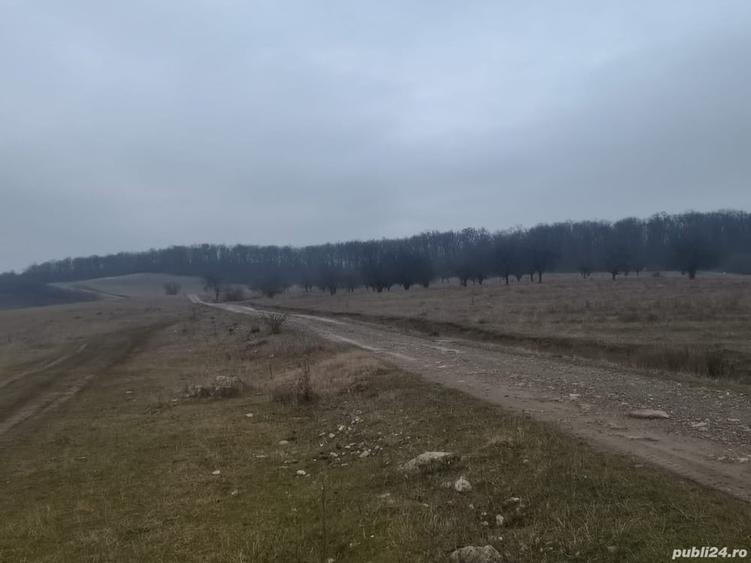 Teren în Central