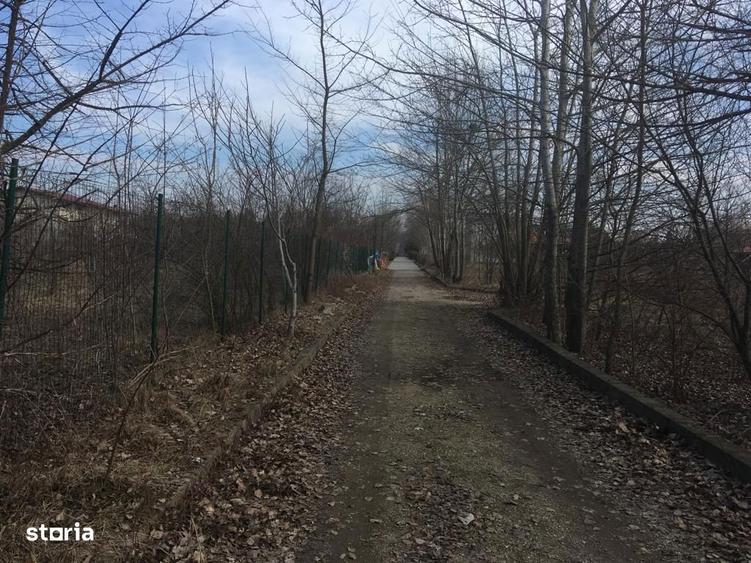 Teren de 1100 mp, în Băneasa