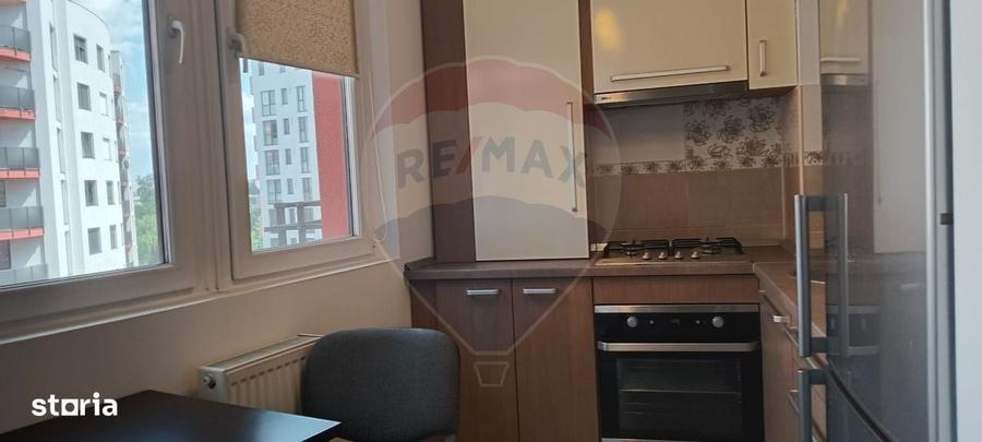 Apartament cu 2 camere de inchiriat Bloc Nou -ARED zona Banu Maracine - 9
